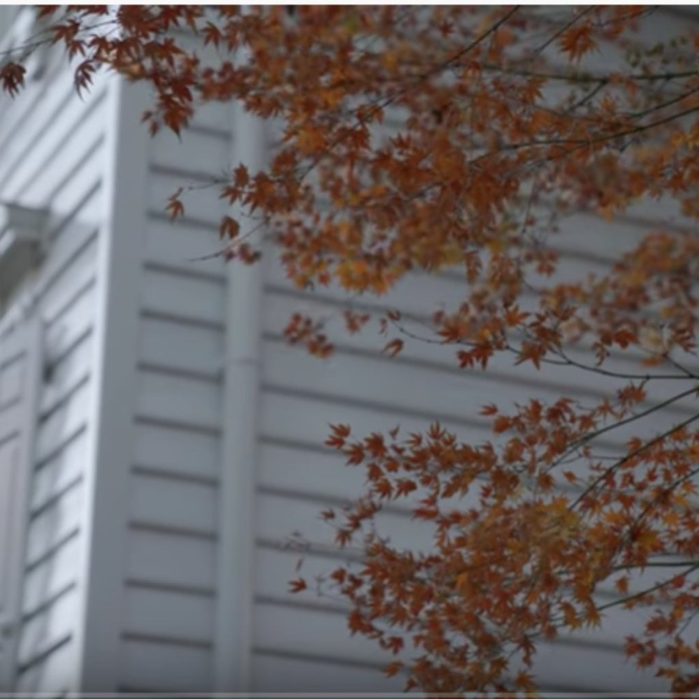 Meet your Posher, Sameen